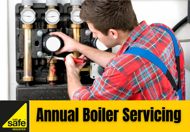 annual boiler servicing Aylesford
