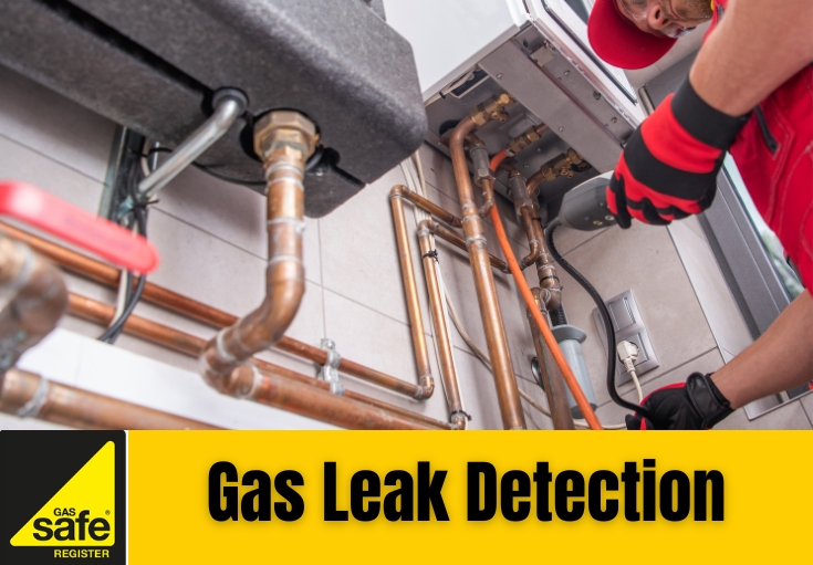 gas leak detection Aylesford